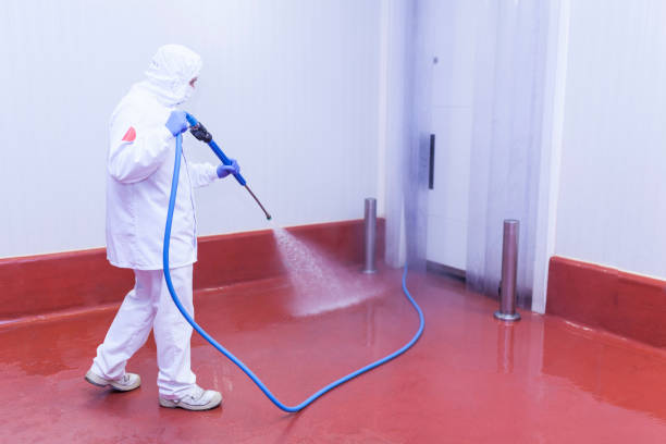 Best Playground Equipment Cleaning  in Parole, MD