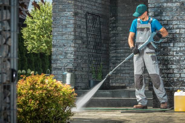 Best Roof Washing  in Parole, MD