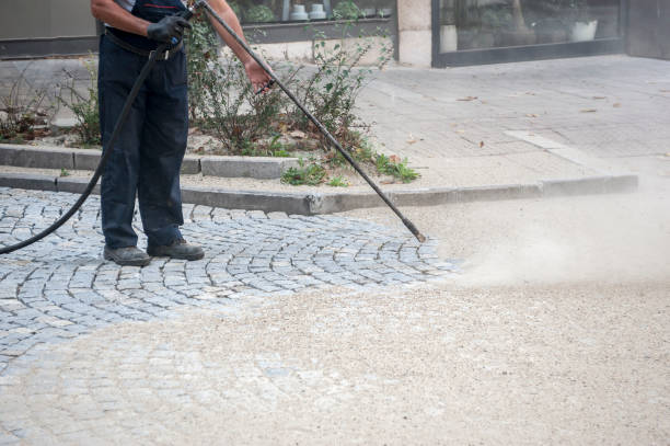 Best Dumpster Area Cleaning  in Parole, MD